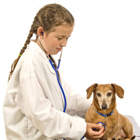 little girl vet little girl vet